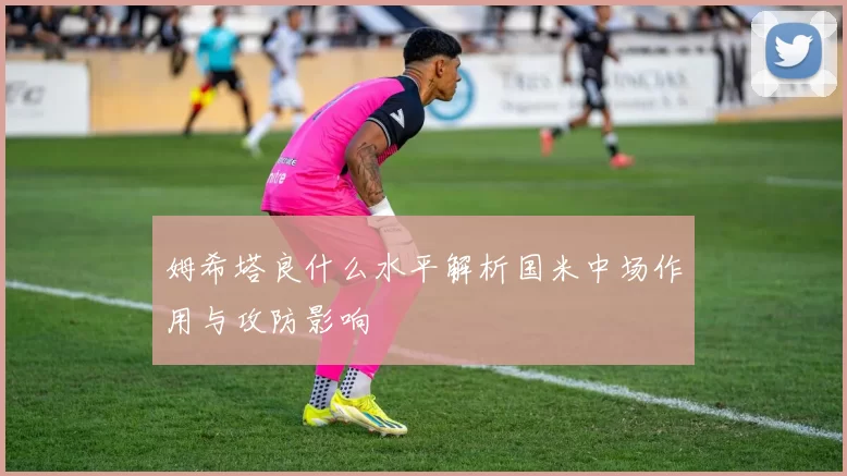 姆希塔良什么水平解析国米中场作用与攻防影响