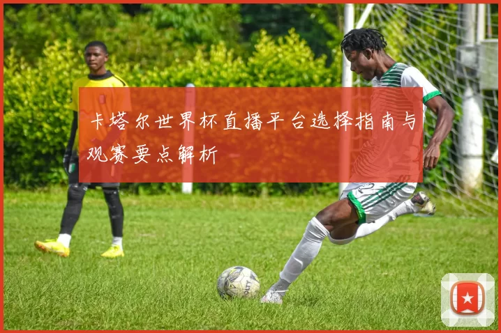 卡塔尔世界杯直播平台选择指南与观赛要点解析