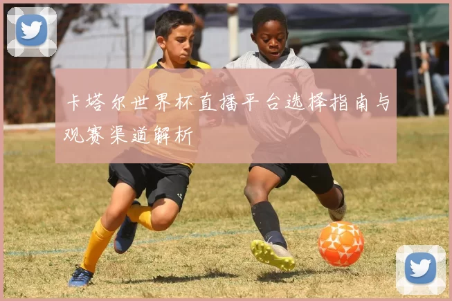 卡塔尔世界杯直播平台选择指南与观赛渠道解析